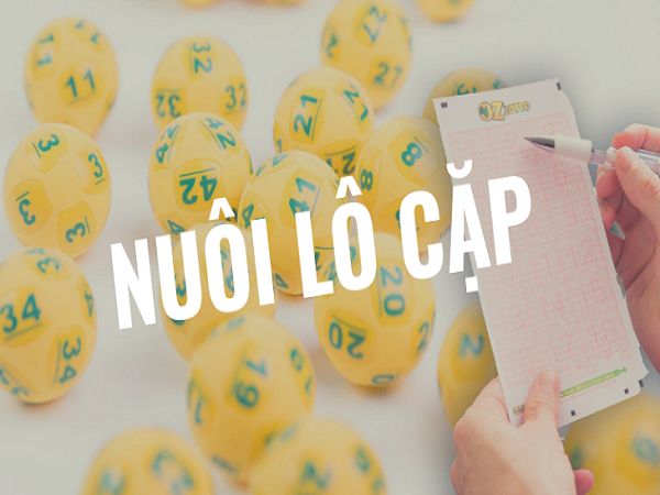 Cầu về cả cặp (MB) – Soi cầu loto miền bắc