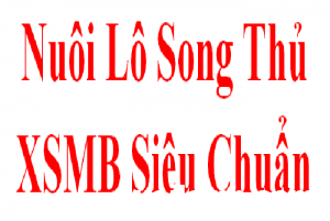 dự đoán chuẩn lô song thủ mb