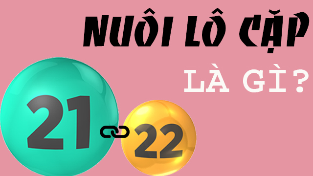 nuôi lô cặp: các loại lô cặp và lưu ý khi chơi